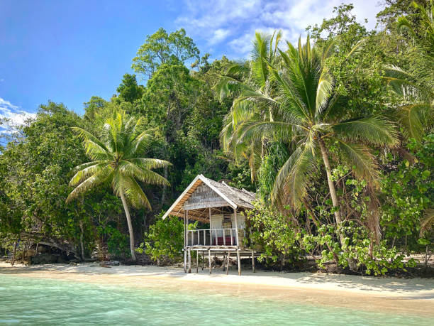 istock Wooden house in between palm trees 1202055897
