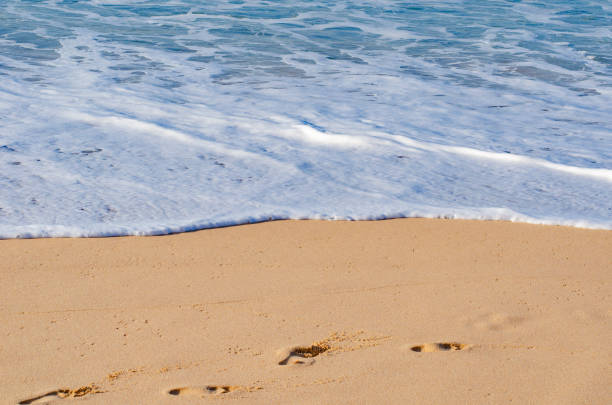 istock Sea foam from a wave on the ocean. Background. Close up. 1202057550