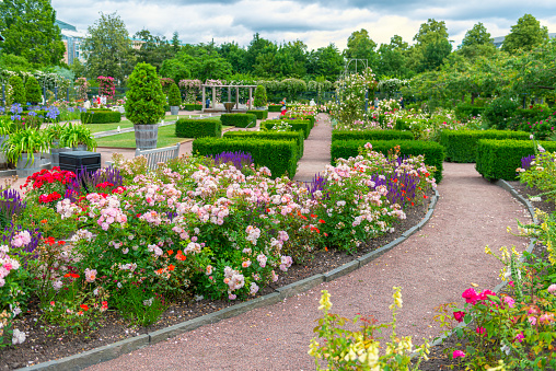 Beautiful garden in Gothenburg city filled with flowers. Tradgardsforeningen public park.