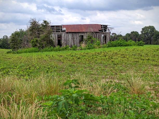 Mississippi Delta Mississippi Delta mississippi delta stock pictures, royalty-free photos & images