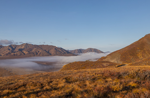 a scenic autumn landscape in Denali National Park Alaska