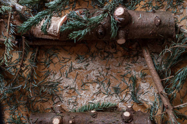 istock End of christmas fir tree cut into pieces 1202069009