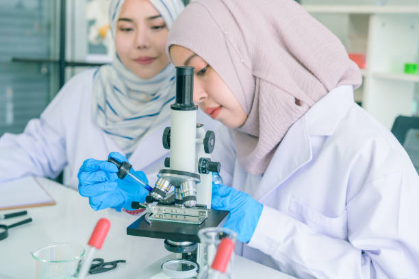 istock Asian scientist team has researching in laboratory. 1202069658