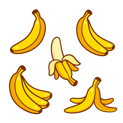 Set of cartoon banana drawings: single and bunch, peeled banana and empty peel on the ground. Vector clip art illustration collection.
