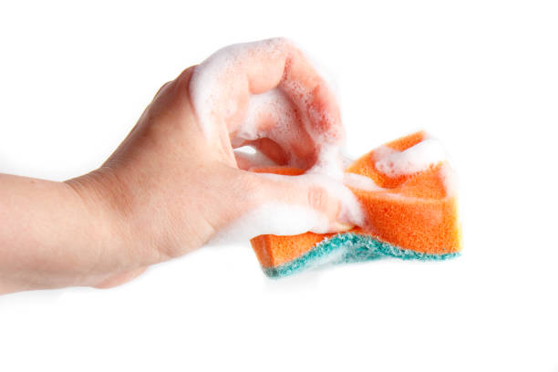 istock Hand compresses a soapy sponge for washing dishes on a white background 1202072129