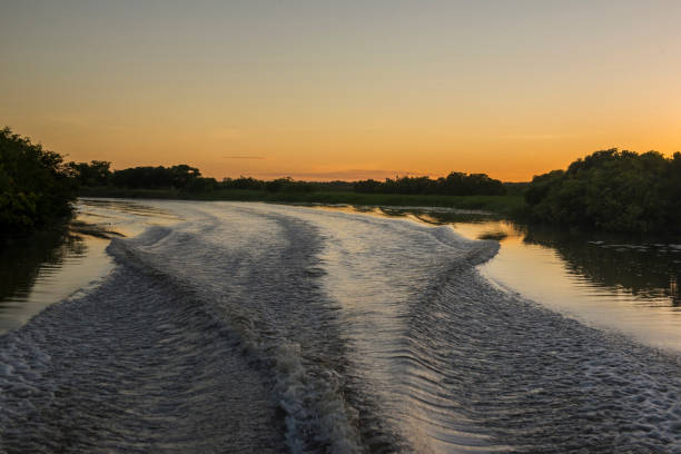 acorde ou acene de um barco ao amanhecer em corroboree billabong. - kakadu national park australia bird northern territory - fotografias e filmes do acervo