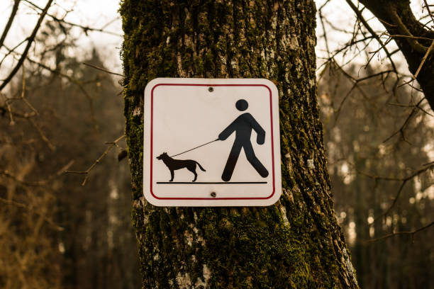 istock Dogs must be on a leash sign 1202073000