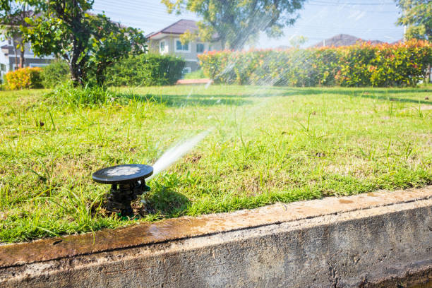 istock Automatic lawn sprinkler watering grass garden irrigation system 1202073390