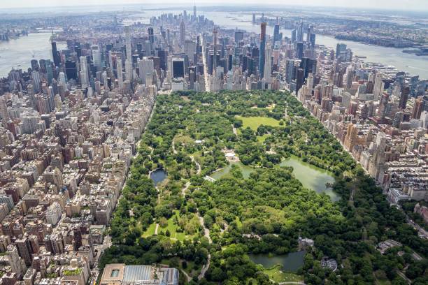 istock Central Park, New York, USA 1202074153