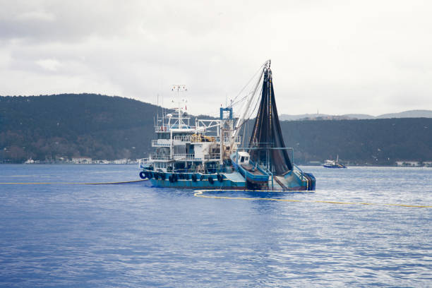 fishing trawler - rede de arrastão imagens e fotografias de stock