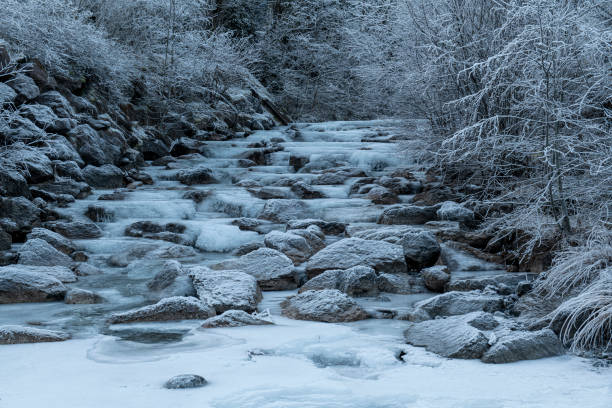 Winter Landscape and Snow. Frozen.