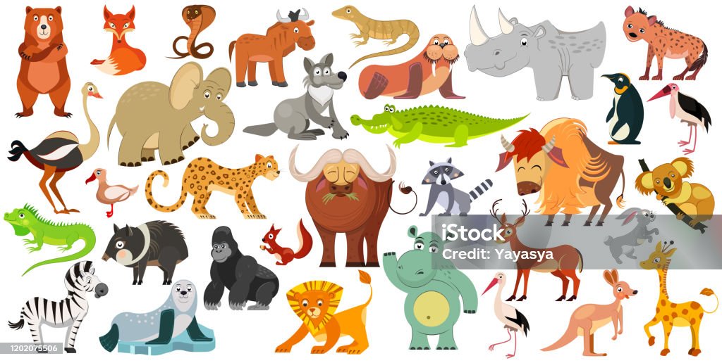 Set Of Funny Animals Birds And Reptiles From All Over The World World Fauna  Illustration Stock Illustration - Download Image Now - iStock
