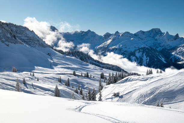 Winter landscape with snowcapped mountains and trees in the Bregenzerwald area close to the Diedamskopf (Au) in Vorarlberg, Austria.