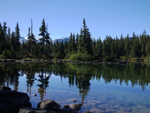 istock Beautiful lake and reflection of trees 1202078035