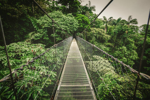 istock hanging bridge, costa rica 1202084012