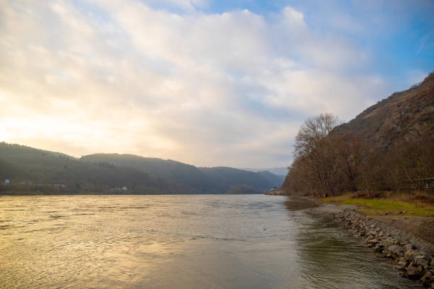 istock Rhine with shore in winter, blue sky 1202086582