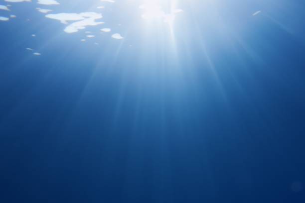 istock Sun beams shinning underwater . Trendy color classic blue background. 1202088481