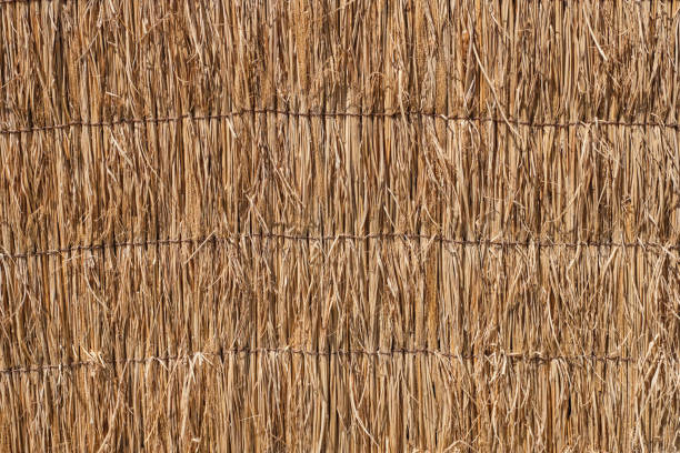 Close up straw of japanese thatched roof texture background Close up straw of japanese thatched roof texture background straw roof stock pictures, royalty-free photos & images