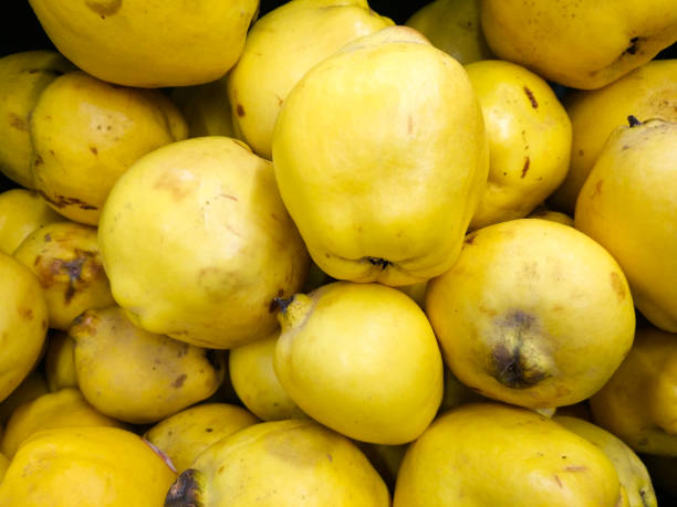 istock yellow quince fruits 1202089737