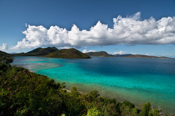istock Tropical Rainforest - Island Nature 1202090577