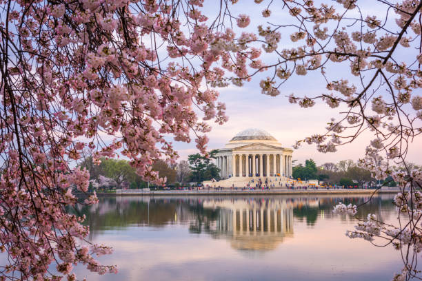 istock Washington, DC at the Tidal Basin and Jefferson Memorial 1202095723
