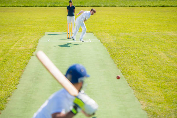 istock Cricket batter preparing to hit the ball 1202097494