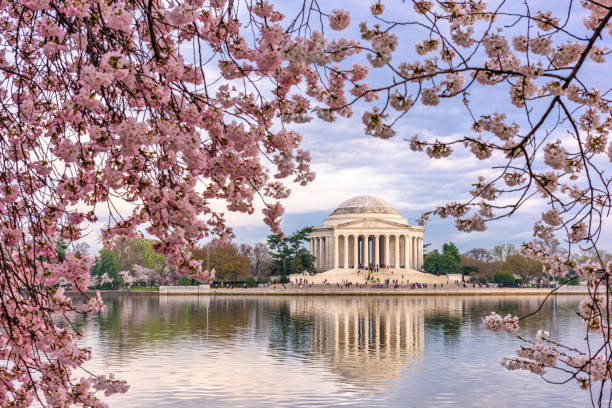 istock Washington, DC at the Tidal Basin and Jefferson Memorial 1202097634