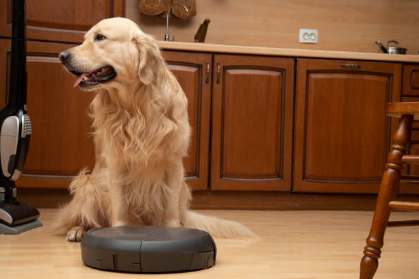 istock Robot vacuum cleaner and dog. 1202102458
