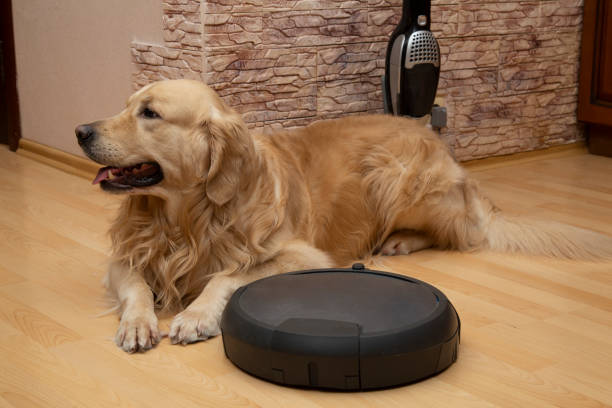 istock Robot vacuum cleaner and dog. 1202102464