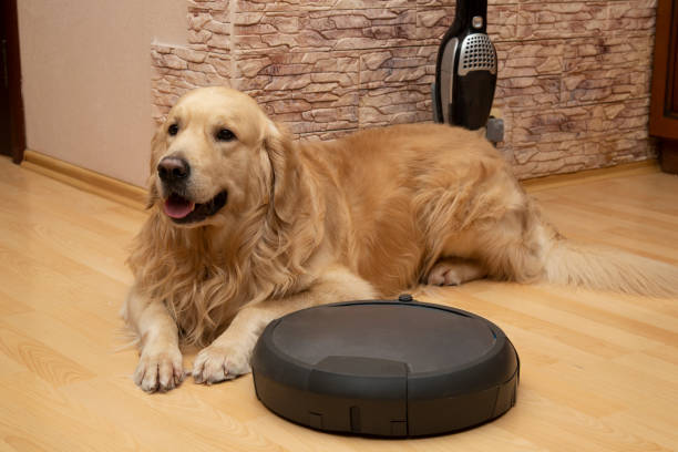 istock Robot vacuum cleaner and dog. 1202102466