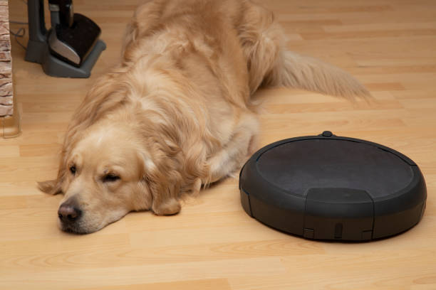istock Robot vacuum cleaner and dog. 1202102473