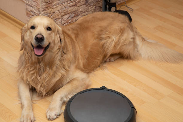 istock Robot vacuum cleaner and dog. 1202102483