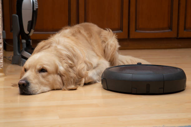 istock Robot vacuum cleaner and dog. 1202102490