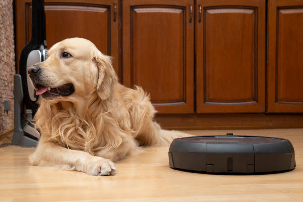 istock Robot vacuum cleaner and dog. 1202102495