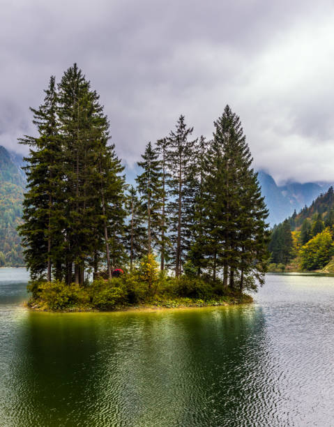 istock The surface of the lake 1202102787