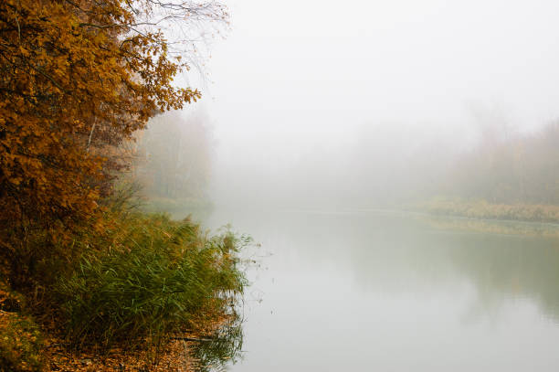 Misty sunrise over the autumn pond.