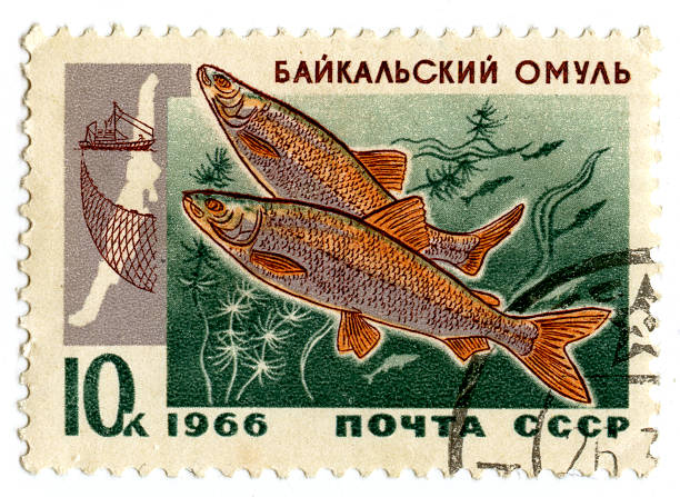 istock USSR vintage postage stamp 120210485