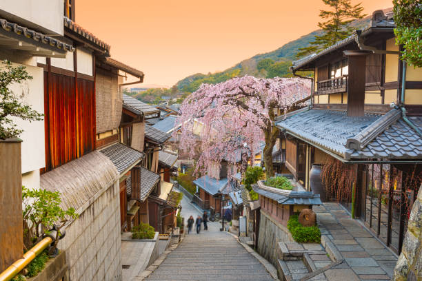 kyoto, cidade velha do japão na primavera - town of blossom - fotografias e filmes do acervo