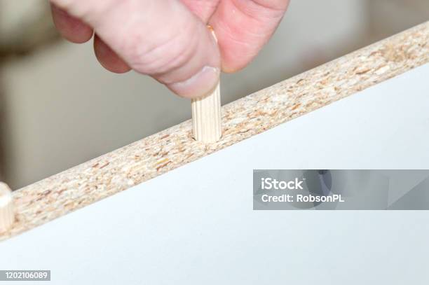 Inserting A Wooden Dowel Into The Hole In Board Chipboard Stock Photo - Download Image Now