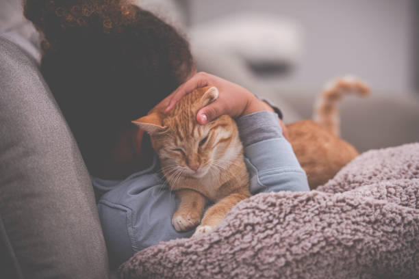 istock A little girl hugging the ginger cat. 1202106145
