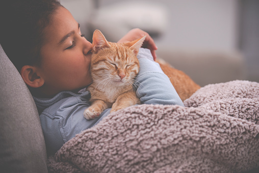Close up image of a little girl kissing the ginger cat, sitting on a sofa with a winter blanket in the living room at home.