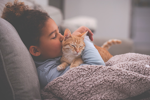 Little girl kissing the ginger cat, sitting on a sofa with a winter blanket in the living room at home.