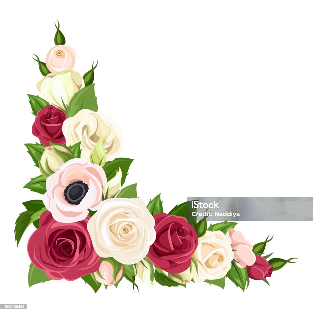 Góc Nền Với Hoa Đỏ Hồng Và Trắng Hình Minh Họa Vector Hình minh ...