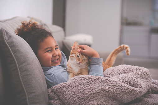 Little girl playing with the ginger cat, sitting on a sofa with a winter blanket in the living room at home.