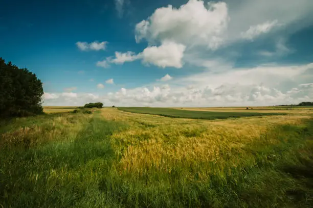 Clouds over coast landscape