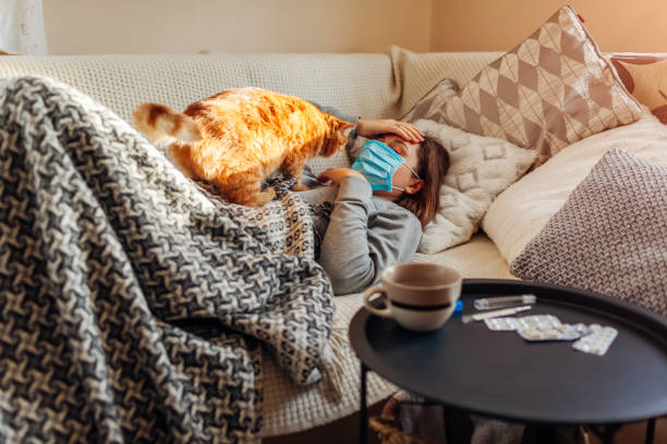 Sick woman having flu or cold. Girl lying in bed with cat wearing protective mask by pills and water on table Sick woman having flu or cold. Girl lying in bed with cat having headache wearing protective mask by pills and water on table. weak cat stock pictures, royalty-free photos & images
