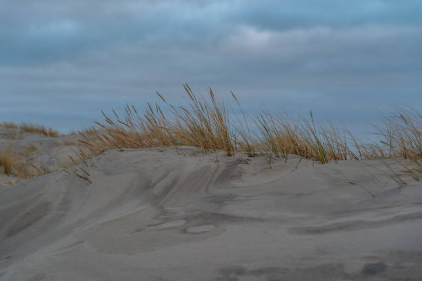 istock sand dunes at sea on a cold autumn evening 1202115435