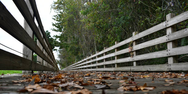 istock Low long view of boardwalk with these 1202116212