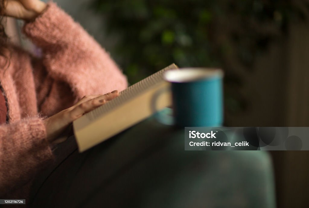 Female reading book Reading Stock Photo