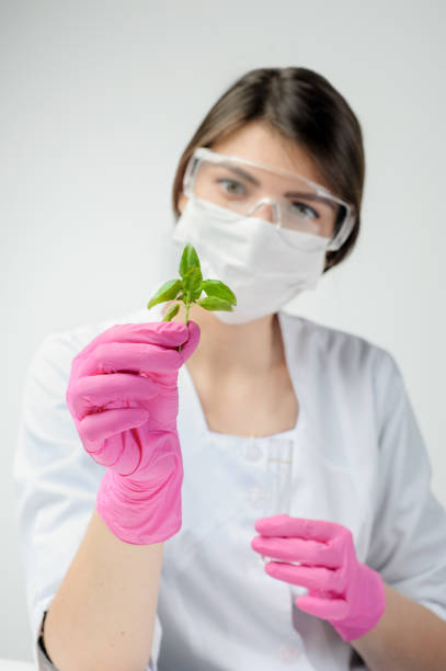 istock laboratory assistant holding a test tube with a plant basil agro-laboratory 1202117536